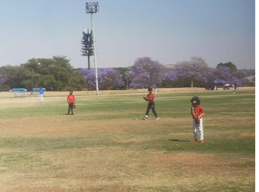 Junior baseball practice on a Benoni field with jacaranda trees in bloom